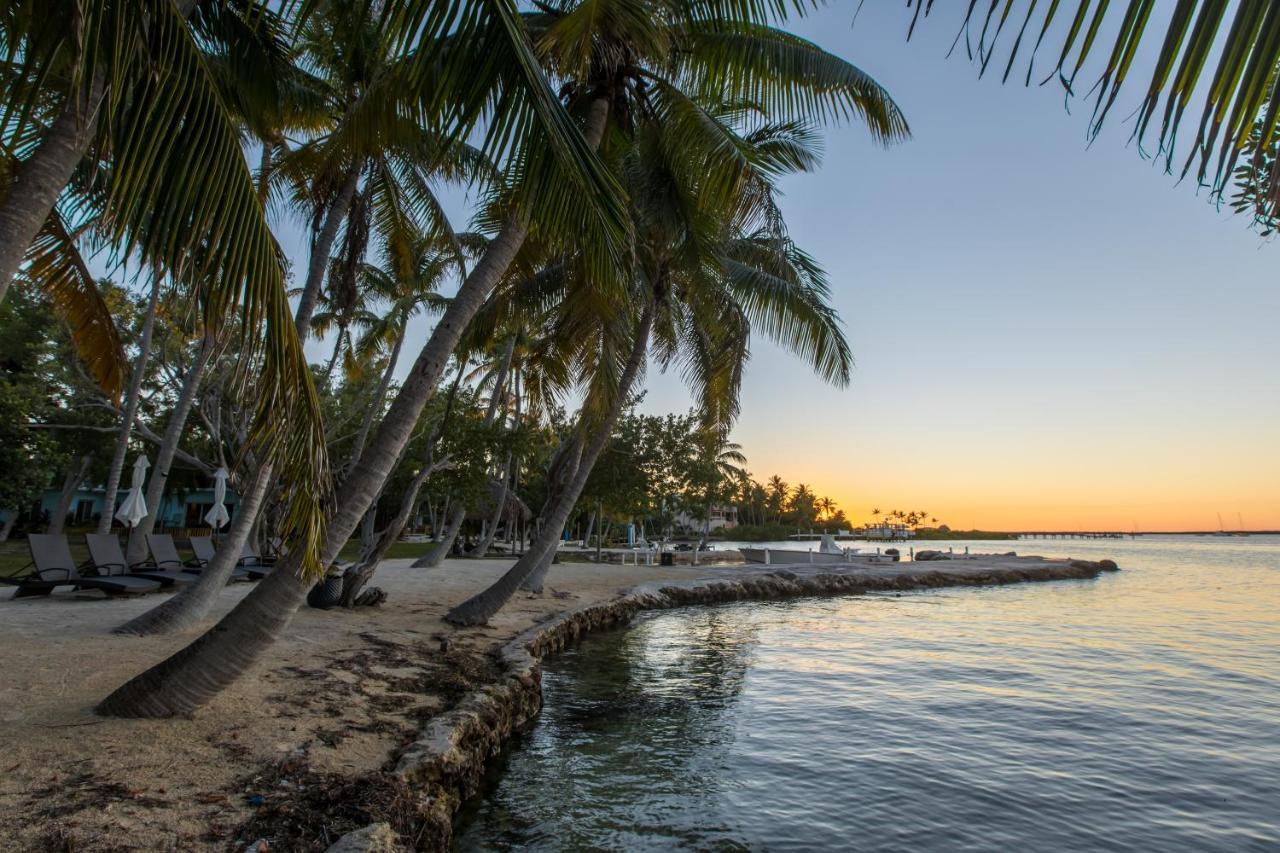 La Jolla Resort Islamorada Dış mekan fotoğraf